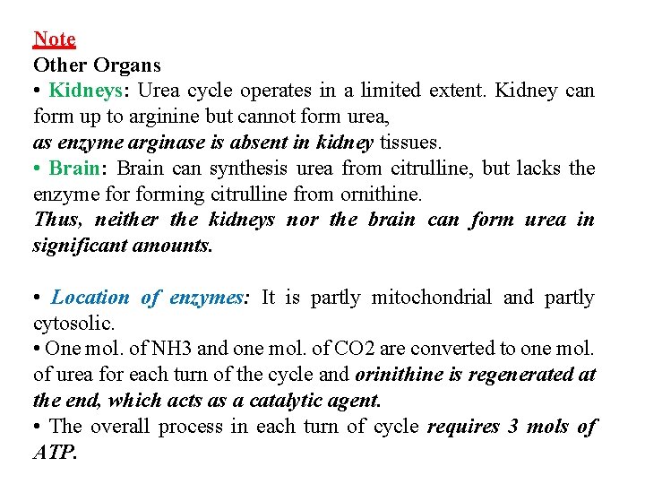 Note Other Organs • Kidneys: Urea cycle operates in a limited extent. Kidney can