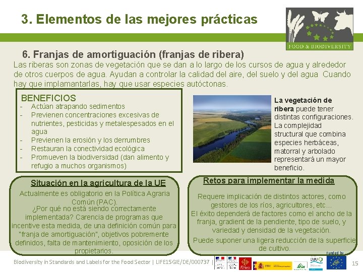 3. Elementos de las mejores prácticas 6. Franjas de amortiguación (franjas de ribera) Las