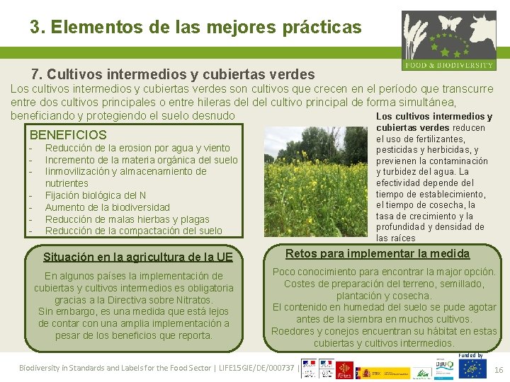 3. Elementos de las mejores prácticas 7. Cultivos intermedios y cubiertas verdes Los cultivos