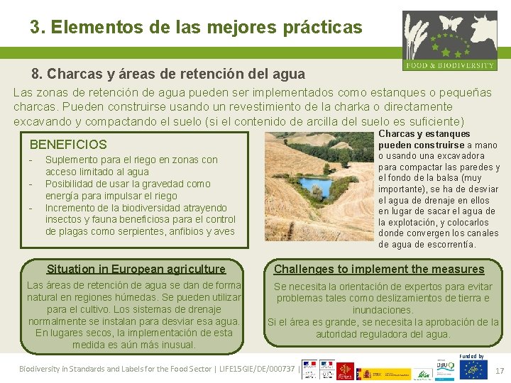 3. Elementos de las mejores prácticas 8. Charcas y áreas de retención del agua