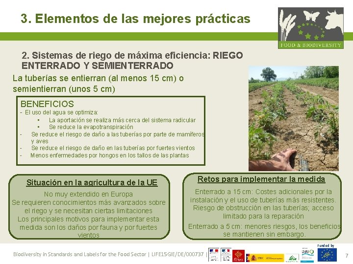 3. Elementos de las mejores prácticas 2. Sistemas de riego de máxima eficiencia: RIEGO