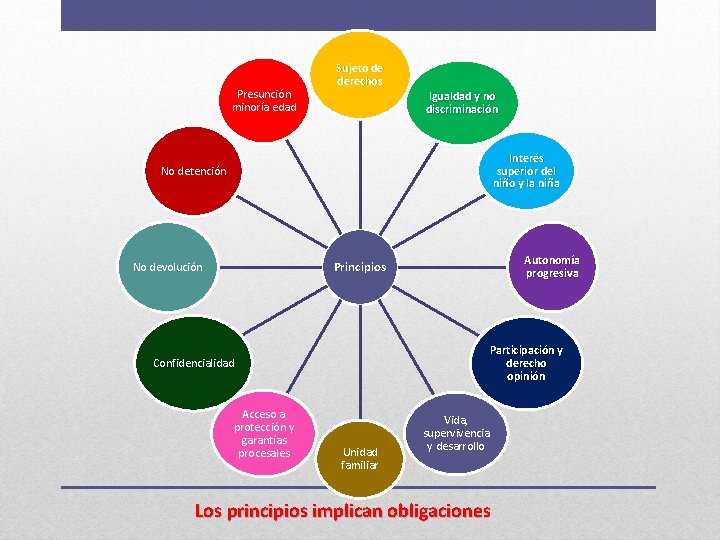 Presunción minoría edad Sujeto de derechos Igualdad y no discriminación Interés superior del niño