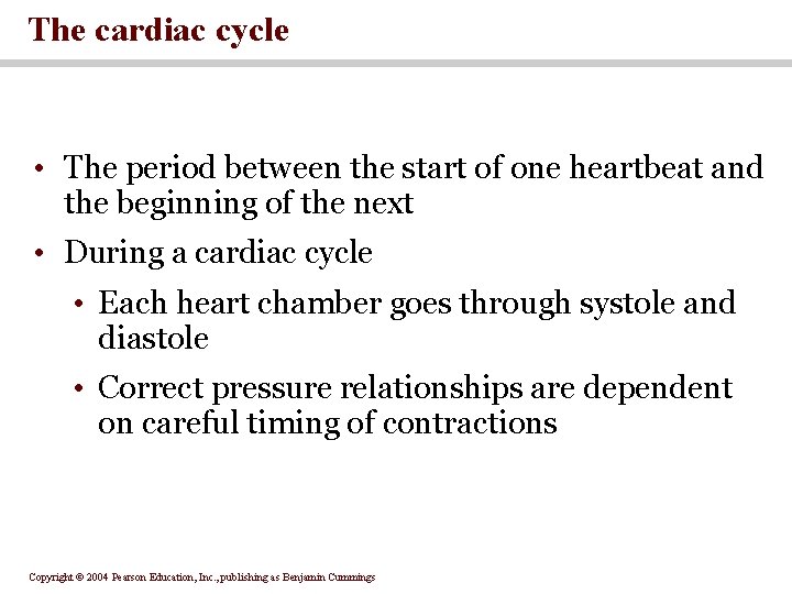 The cardiac cycle • The period between the start of one heartbeat and the