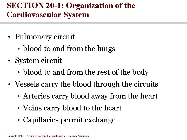 SECTION 20 -1: Organization of the Cardiovascular System • Pulmonary circuit • blood to