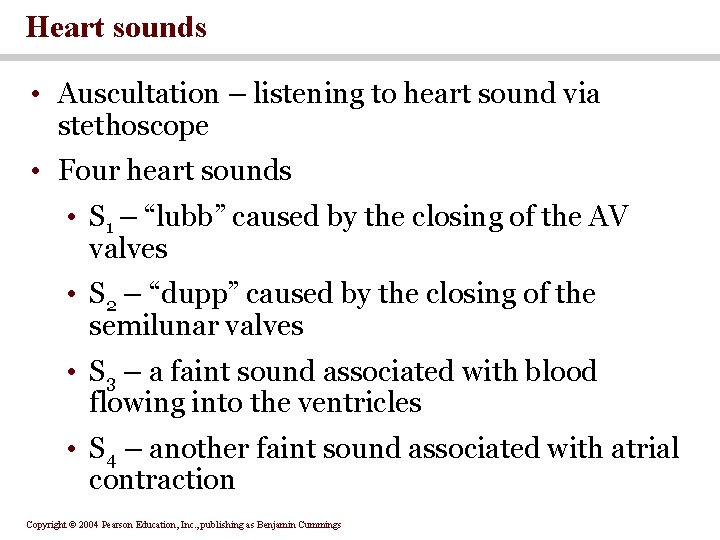 Heart sounds • Auscultation – listening to heart sound via stethoscope • Four heart