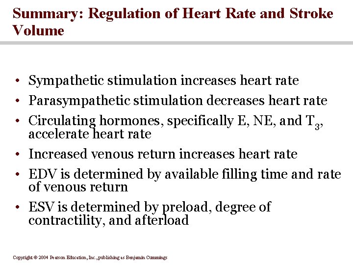 Summary: Regulation of Heart Rate and Stroke Volume • Sympathetic stimulation increases heart rate