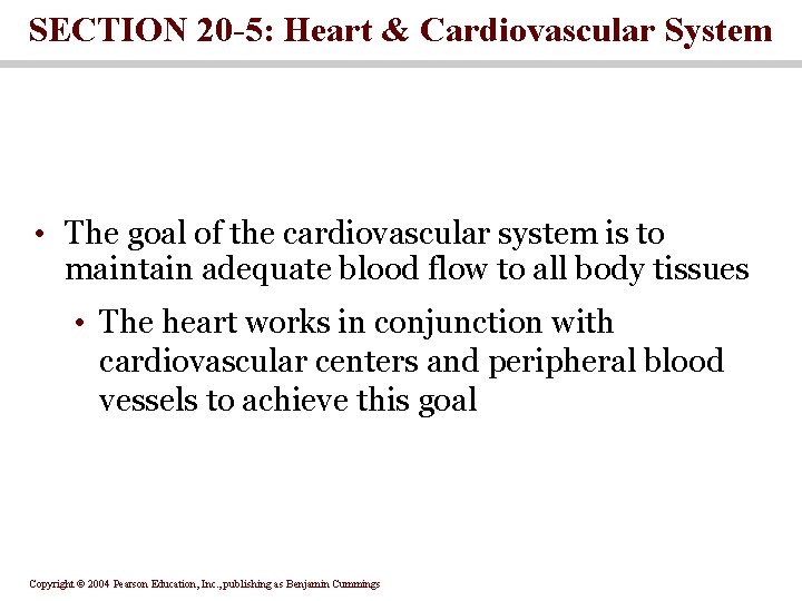 SECTION 20 -5: Heart & Cardiovascular System • The goal of the cardiovascular system