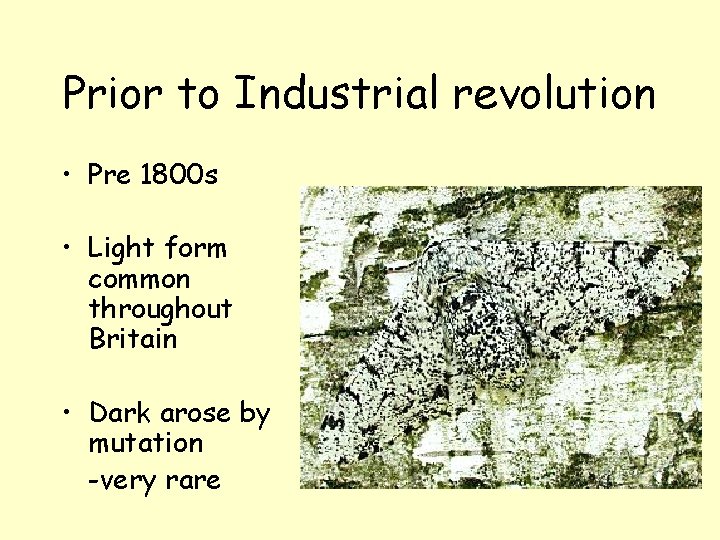 Prior to Industrial revolution • Pre 1800 s • Light form common throughout Britain
