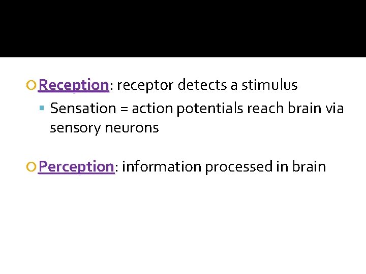  Reception: Reception receptor detects a stimulus Sensation = action potentials reach brain via