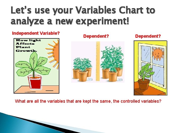 Let’s use your Variables Chart to analyze a new experiment! Independent Variable? Dependent? What