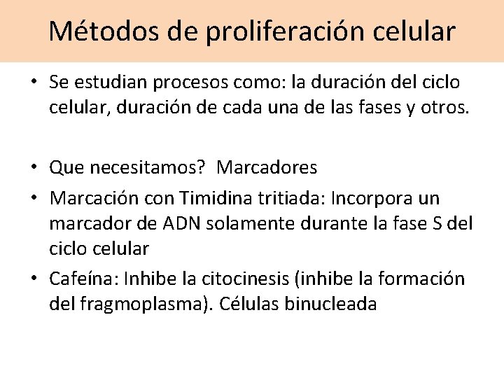 Métodos de proliferación celular • Se estudian procesos como: la duración del ciclo celular,