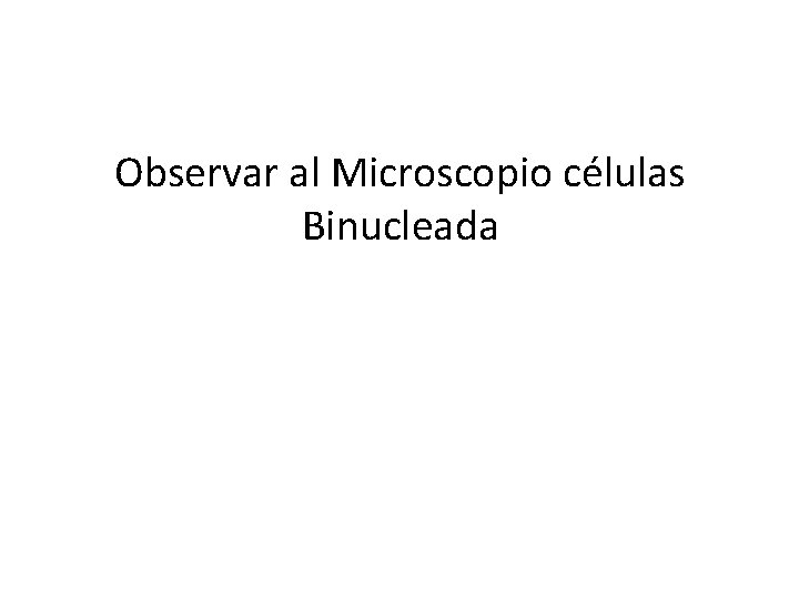 Observar al Microscopio células Binucleada 