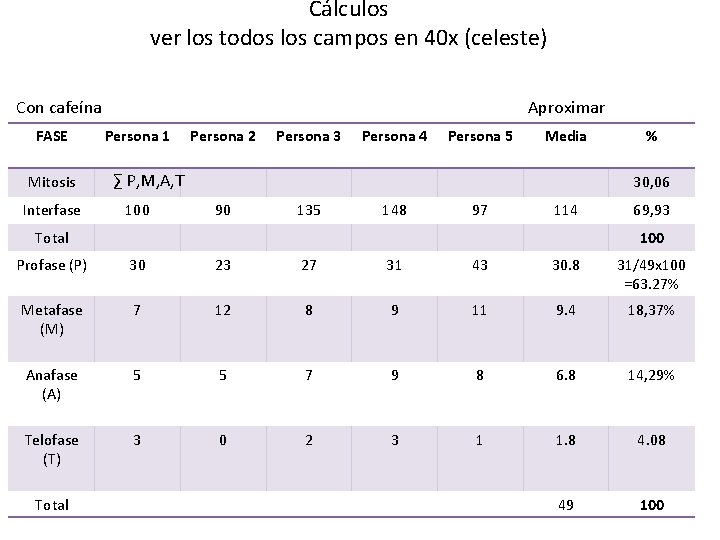 Cálculos ver los todos los campos en 40 x (celeste) Con cafeína FASE Mitosis
