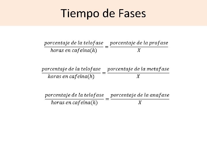 Tiempo de Fases 