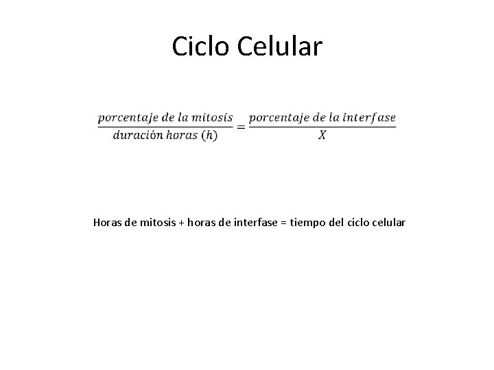 Ciclo Celular Horas de mitosis + horas de interfase = tiempo del ciclo celular