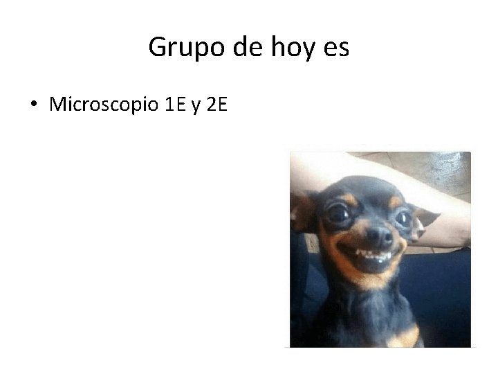 Grupo de hoy es • Microscopio 1 E y 2 E 