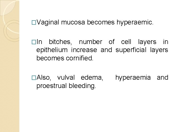 �Vaginal mucosa becomes hyperaemic. �In bitches, number of cell layers in epithelium increase and