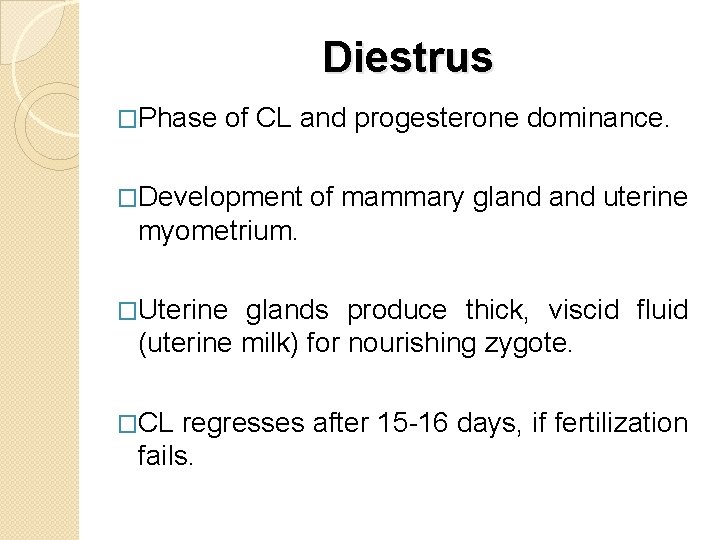 Diestrus �Phase of CL and progesterone dominance. �Development of mammary gland uterine myometrium. �Uterine