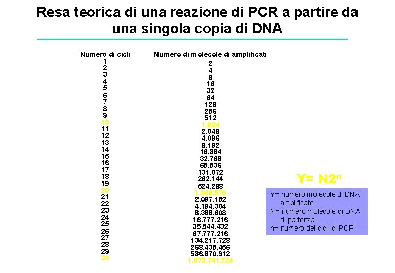 Resa teorica di una reazione di PCR a partire da una singola copia di