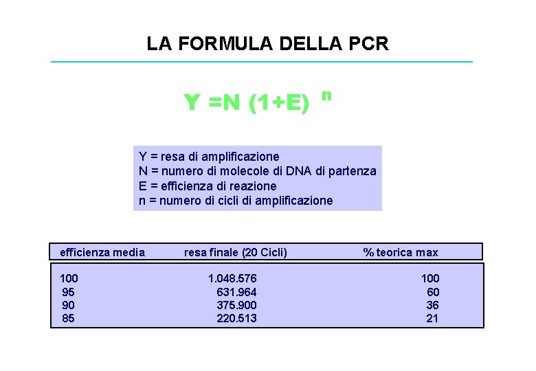 LA FORMULA DELLA PCR Y =N (1+E) n Y = resa di amplificazione N