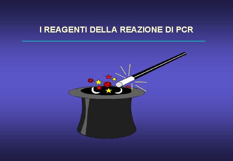 I REAGENTI DELLA REAZIONE DI PCR 