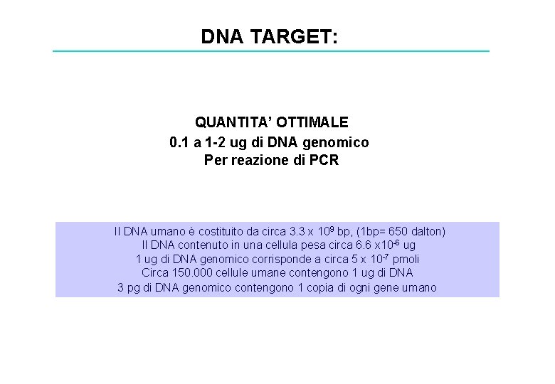 DNA TARGET: QUANTITA’ OTTIMALE 0. 1 a 1 -2 ug di DNA genomico Per