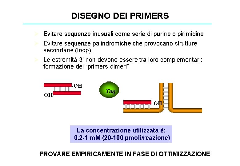 DISEGNO DEI PRIMERS Ø Evitare sequenze inusuali come serie di purine o pirimidine Ø