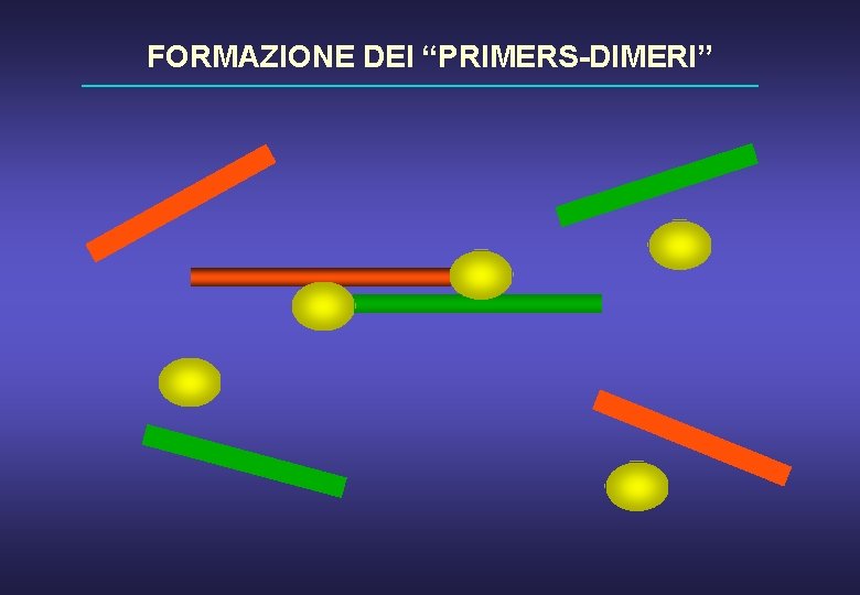 FORMAZIONE DEI “PRIMERS-DIMERI” 