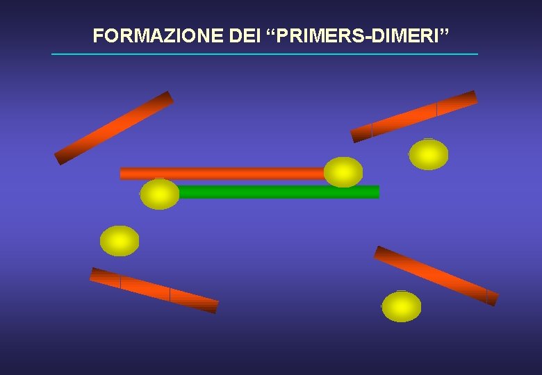 FORMAZIONE DEI “PRIMERS-DIMERI” 