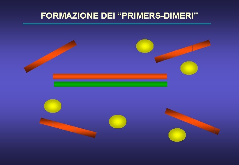 FORMAZIONE DEI “PRIMERS-DIMERI” 