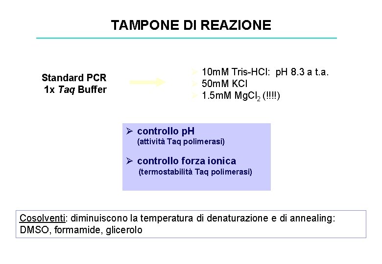 TAMPONE DI REAZIONE Standard PCR 1 x Taq Buffer Ø 10 m. M Tris-HCl: