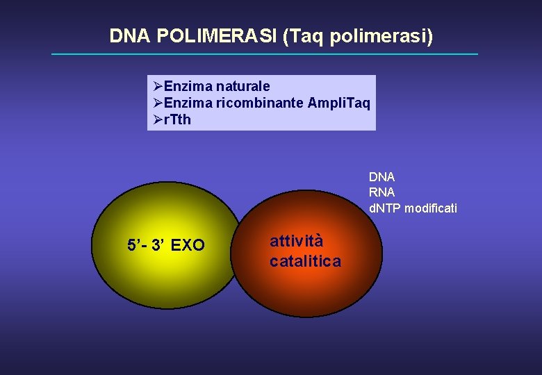 DNA POLIMERASI (Taq polimerasi) ØEnzima naturale ØEnzima ricombinante Ampli. Taq Ør. Tth DNA RNA