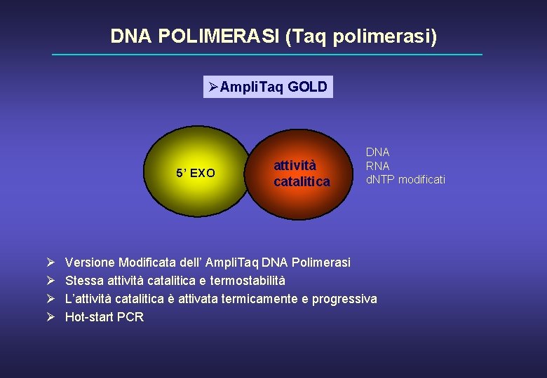 DNA POLIMERASI (Taq polimerasi) ØAmpli. Taq GOLD 5’ EXO Ø Ø attività catalitica DNA