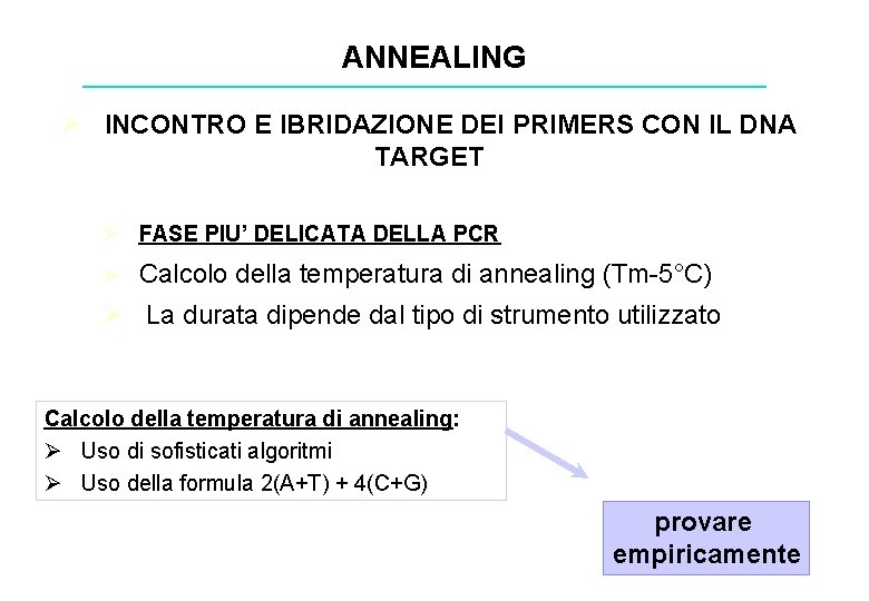 ANNEALING Ø INCONTRO E IBRIDAZIONE DEI PRIMERS CON IL DNA TARGET Ø FASE PIU’