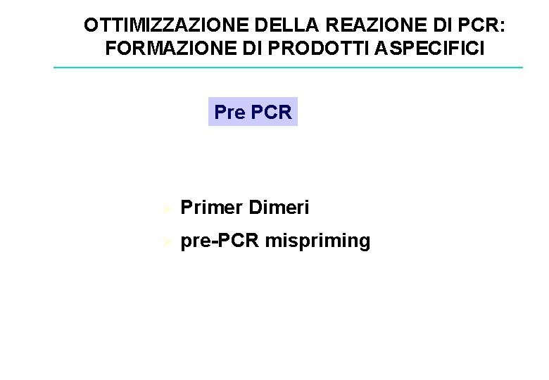 OTTIMIZZAZIONE DELLA REAZIONE DI PCR: FORMAZIONE DI PRODOTTI ASPECIFICI Pre PCR Ø Primer Dimeri