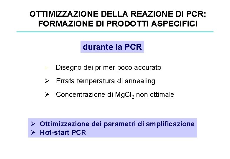 OTTIMIZZAZIONE DELLA REAZIONE DI PCR: FORMAZIONE DI PRODOTTI ASPECIFICI durante la PCR Ø Disegno