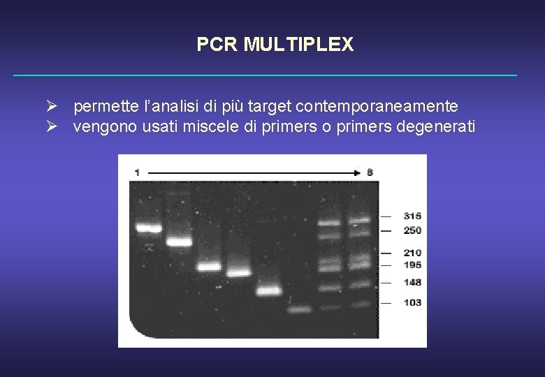 PCR MULTIPLEX Ø permette l’analisi di più target contemporaneamente Ø vengono usati miscele di