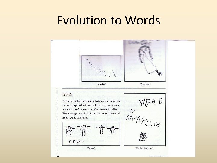 Evolution to Words 
