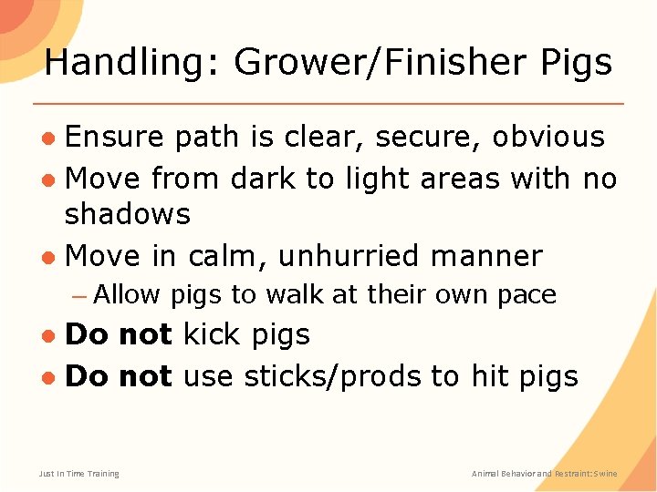 Handling: Grower/Finisher Pigs ● Ensure path is clear, secure, obvious ● Move from dark