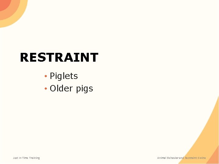 RESTRAINT • Piglets • Older pigs Just In Time Training Animal Behavior and Restraint: