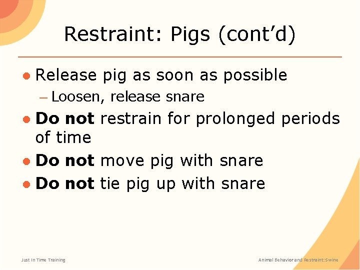 Restraint: Pigs (cont’d) ● Release pig as soon as possible – Loosen, release snare
