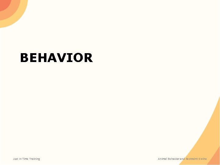 BEHAVIOR Just In Time Training Animal Behavior and Restraint: Swine 