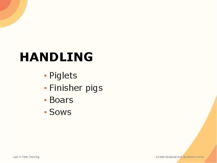 HANDLING • Piglets • Finisher pigs • Boars • Sows Just In Time Training