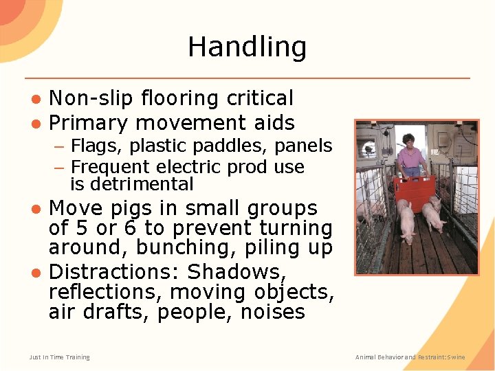 Handling ● Non-slip flooring critical ● Primary movement aids – Flags, plastic paddles, panels