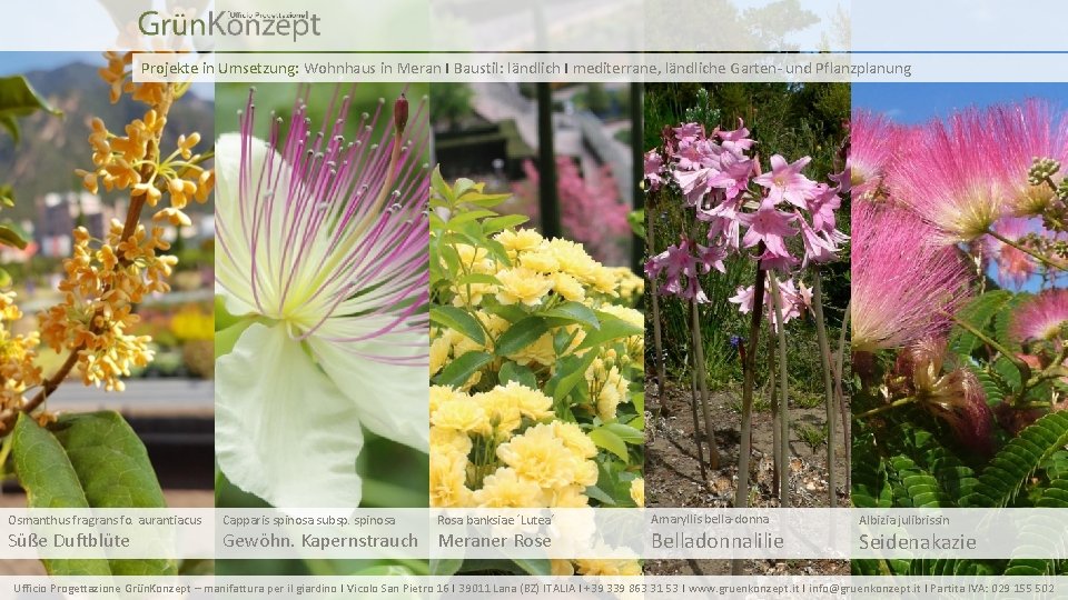 Projekte in Umsetzung: Wohnhaus in Meran I Baustil: ländlich I mediterrane, ländliche Garten- und