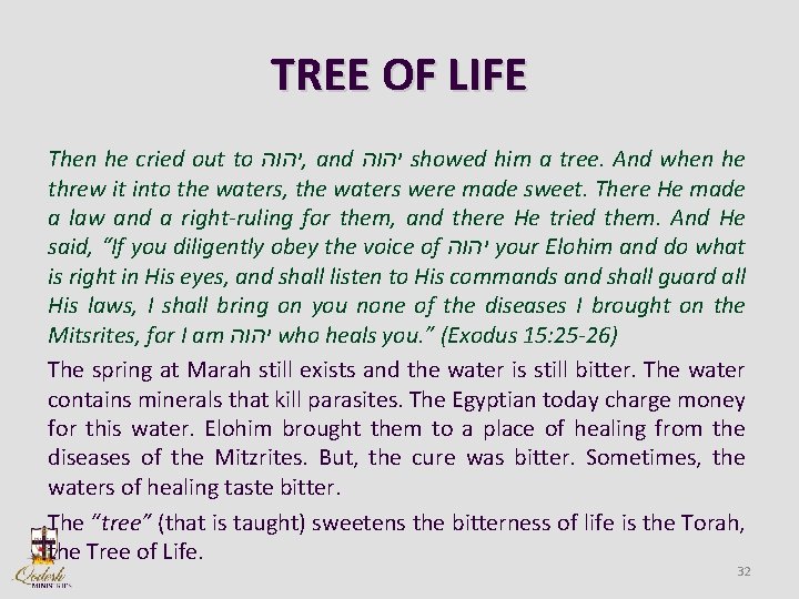 TREE OF LIFE Then he cried out to יהוה , and יהוה showed him