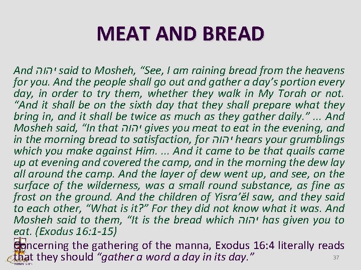 MEAT AND BREAD And יהוה said to Mosheh, “See, I am raining bread from