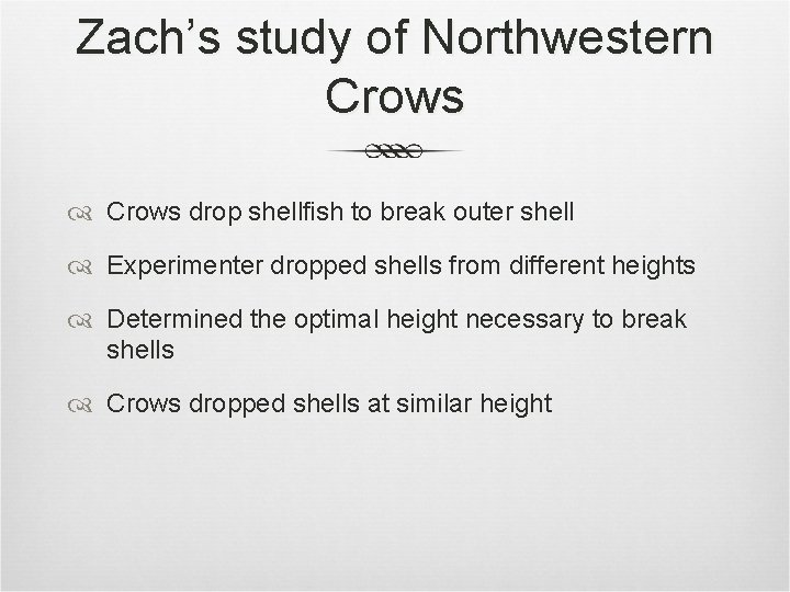 Zach’s study of Northwestern Crows drop shellfish to break outer shell Experimenter dropped shells