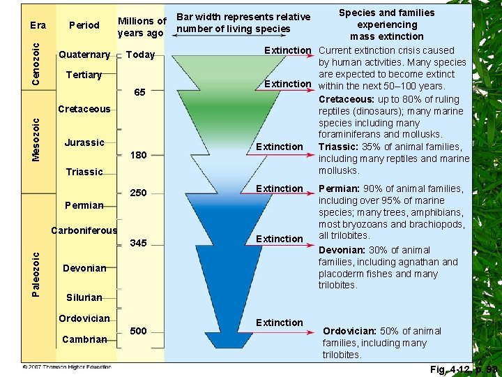 Cenozoic Era Period Millions of years ago Quaternary Today Tertiary 65 Mesozoic Cretaceous Jurassic