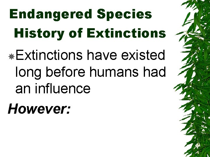 Endangered Species History of Extinctions have existed long before humans had an influence However: